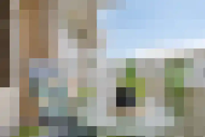 Graaf Janstraat 161 Zoetermeer thumbnail 17