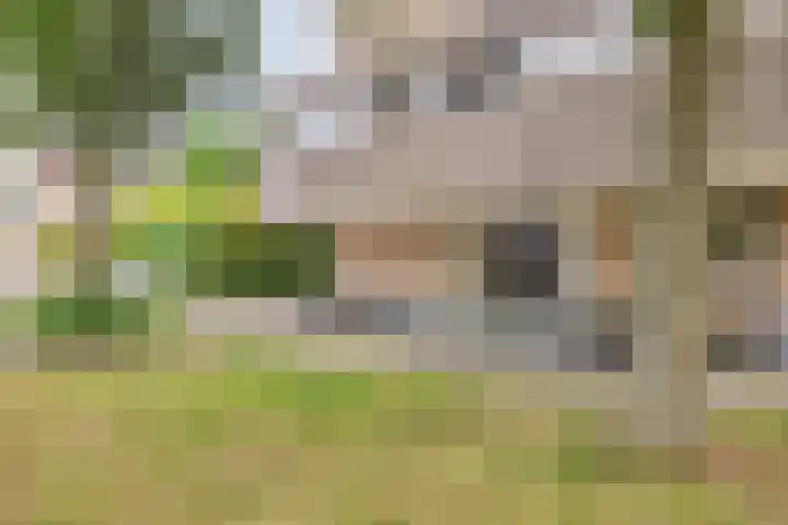 Graaf Janstraat 161 Zoetermeer thumbnail 4