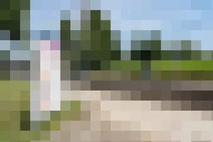 Graaf Janstraat 163 Zoetermeer thumbnail 34