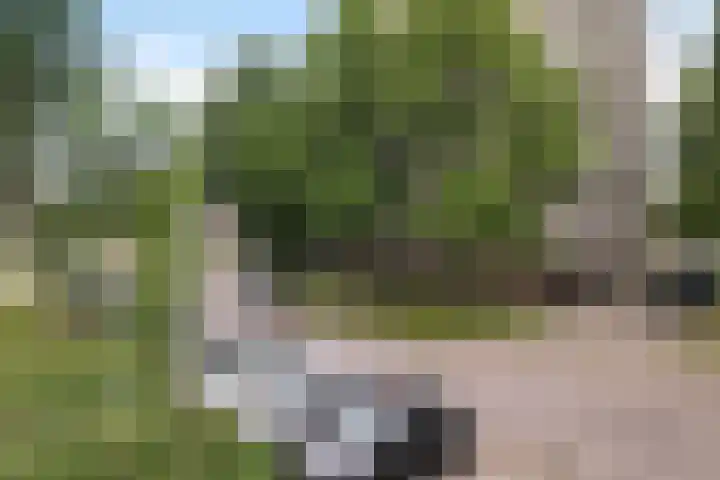 Graaf Janstraat 163 Zoetermeer thumbnail 5
