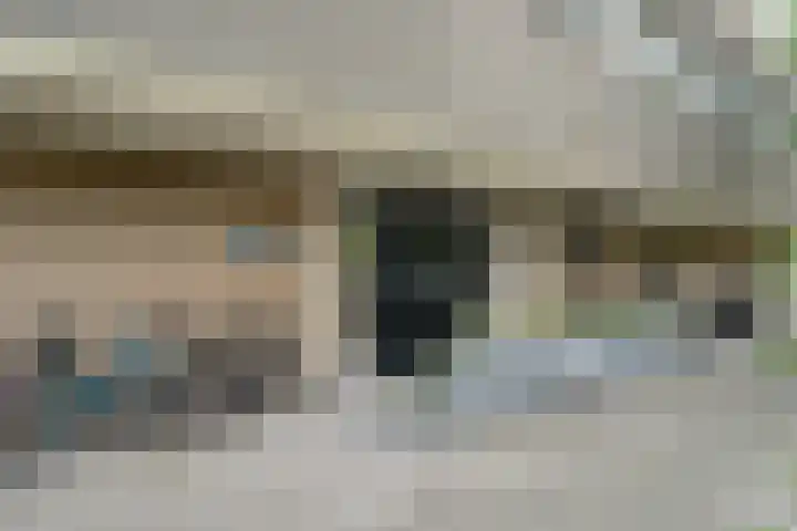 Graaf Janstraat 163 Zoetermeer thumbnail 6
