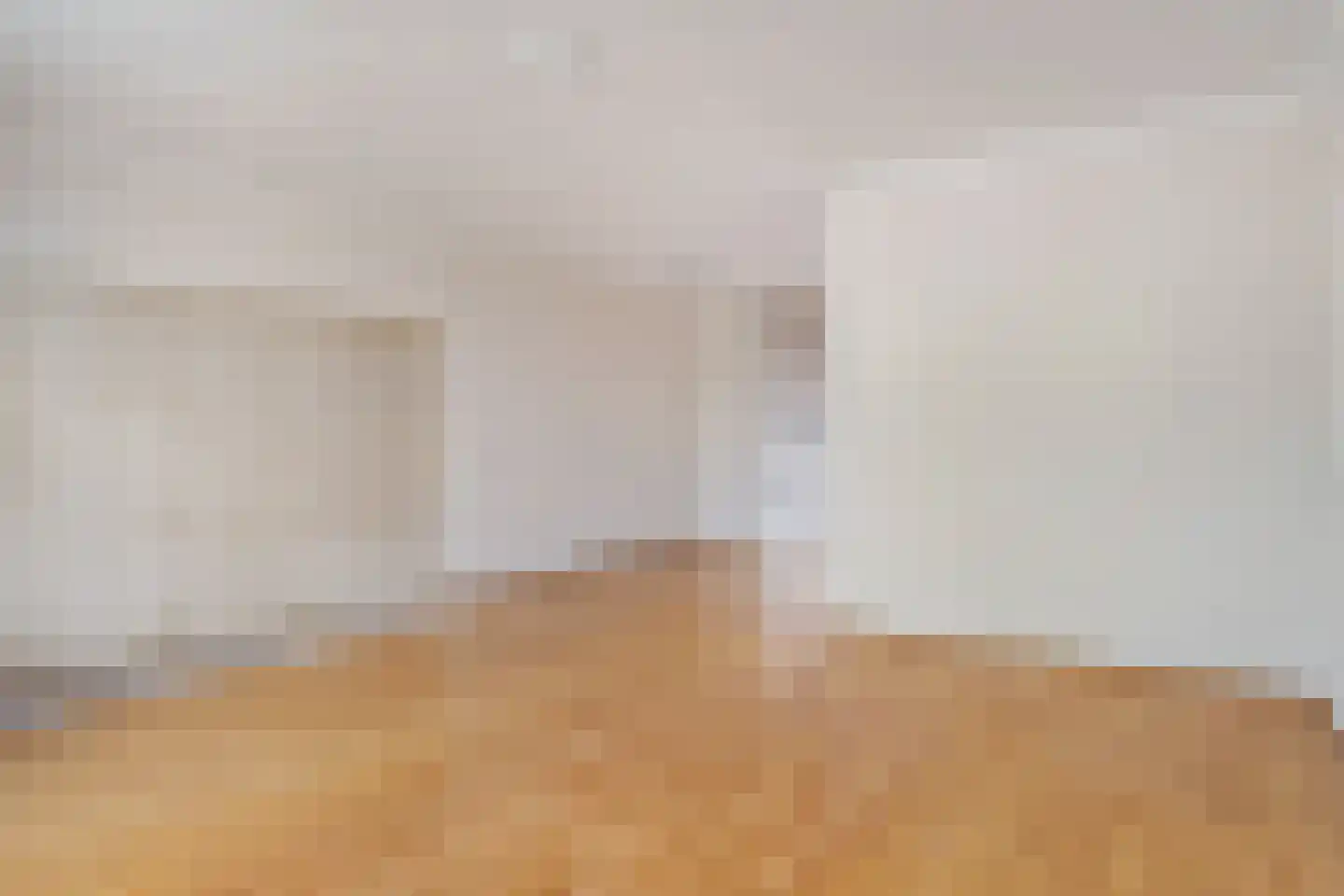 Graaf Janstraat 213 Zoetermeer thumbnail 21