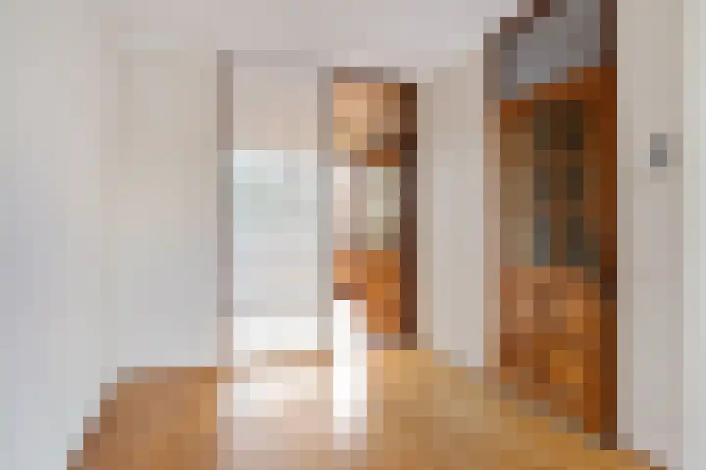Graaf Janstraat 213 Zoetermeer thumbnail 23