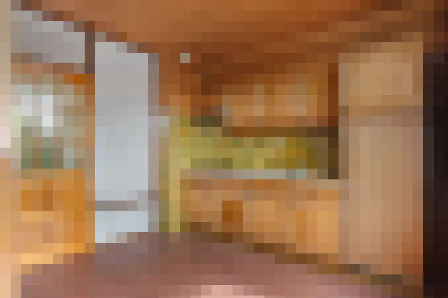 Graaf Janstraat 213 Zoetermeer thumbnail 26