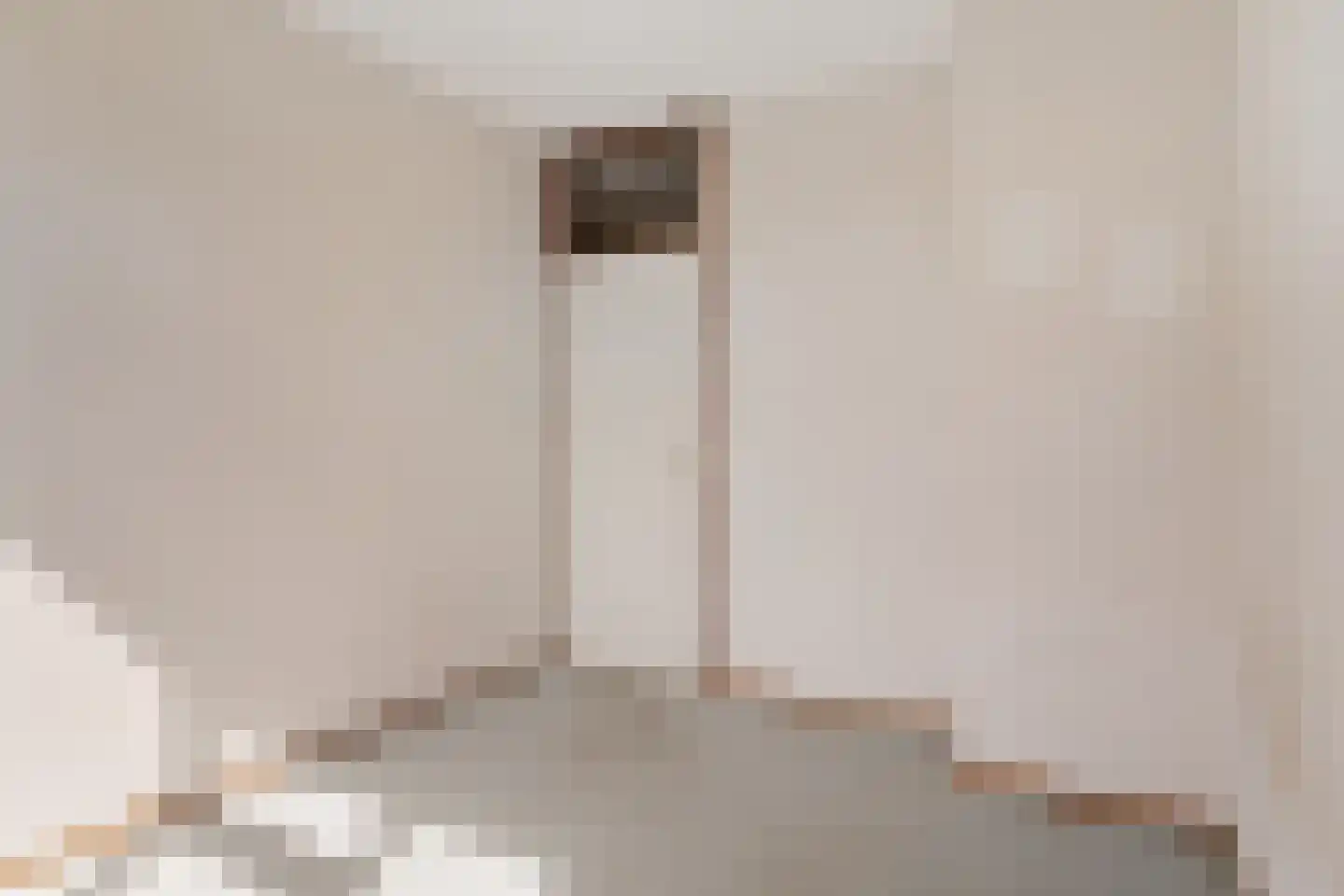 Graaf Janstraat 213 Zoetermeer thumbnail 34