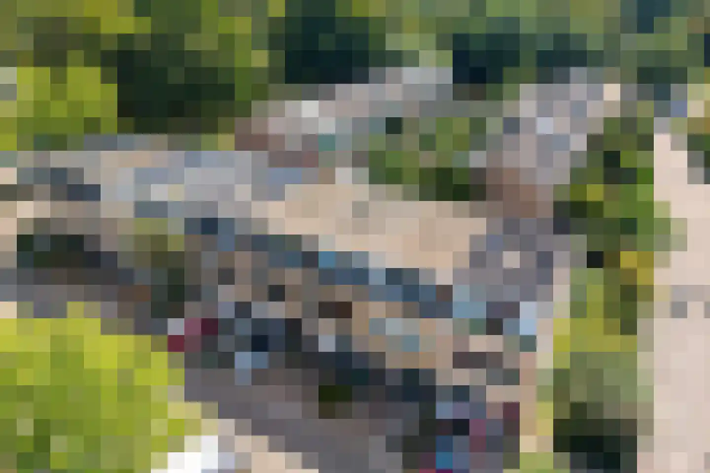 Graaf Janstraat 213 Zoetermeer thumbnail 39