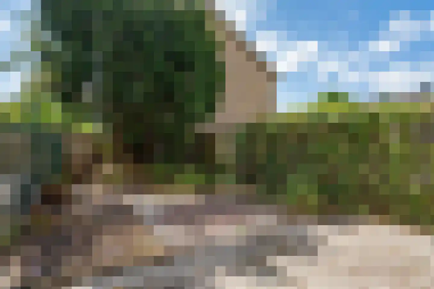 Graaf Janstraat 213 Zoetermeer thumbnail 6