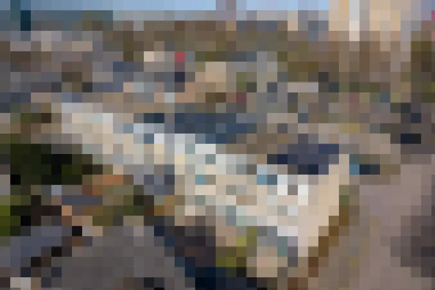 Graaf Janstraat 221 Zoetermeer thumbnail 14