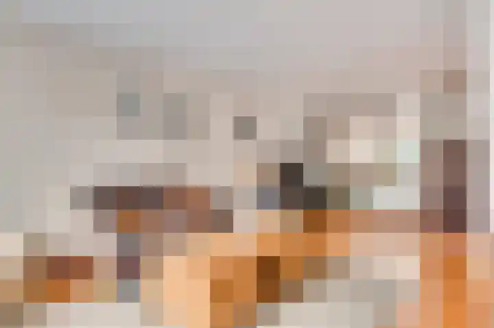 Graaf Janstraat 3 Horn thumbnail 8