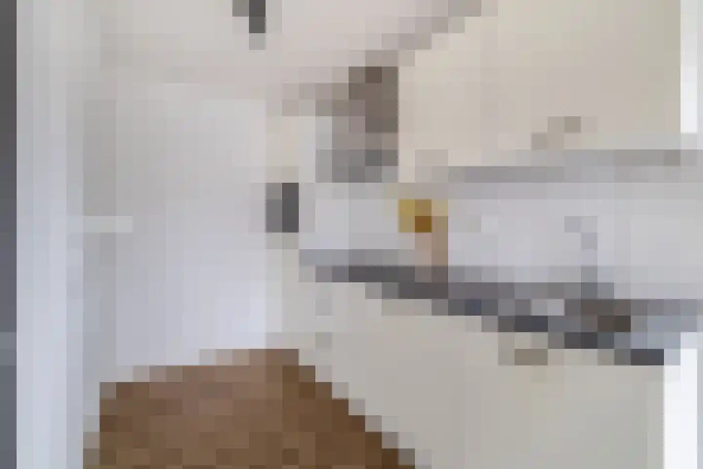 Graaf Janstraat 30 Beverwijk thumbnail 5