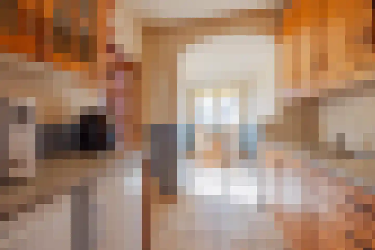 Graaf Janstraat 30 Geertruidenberg thumbnail 18