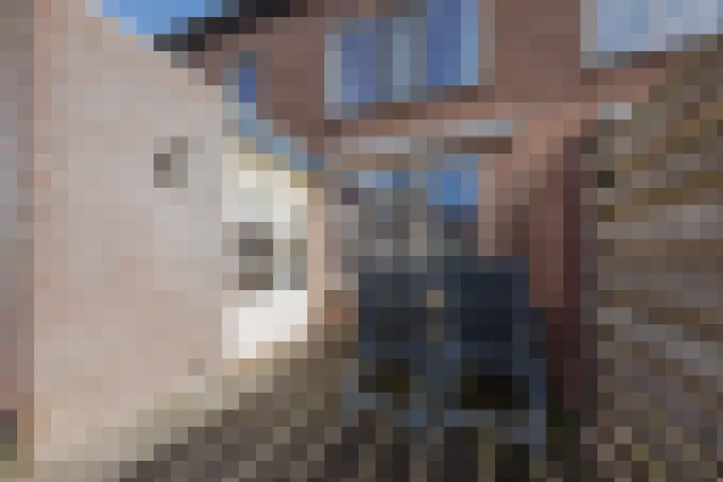 Graaf Janstraat 30 Geertruidenberg thumbnail 47