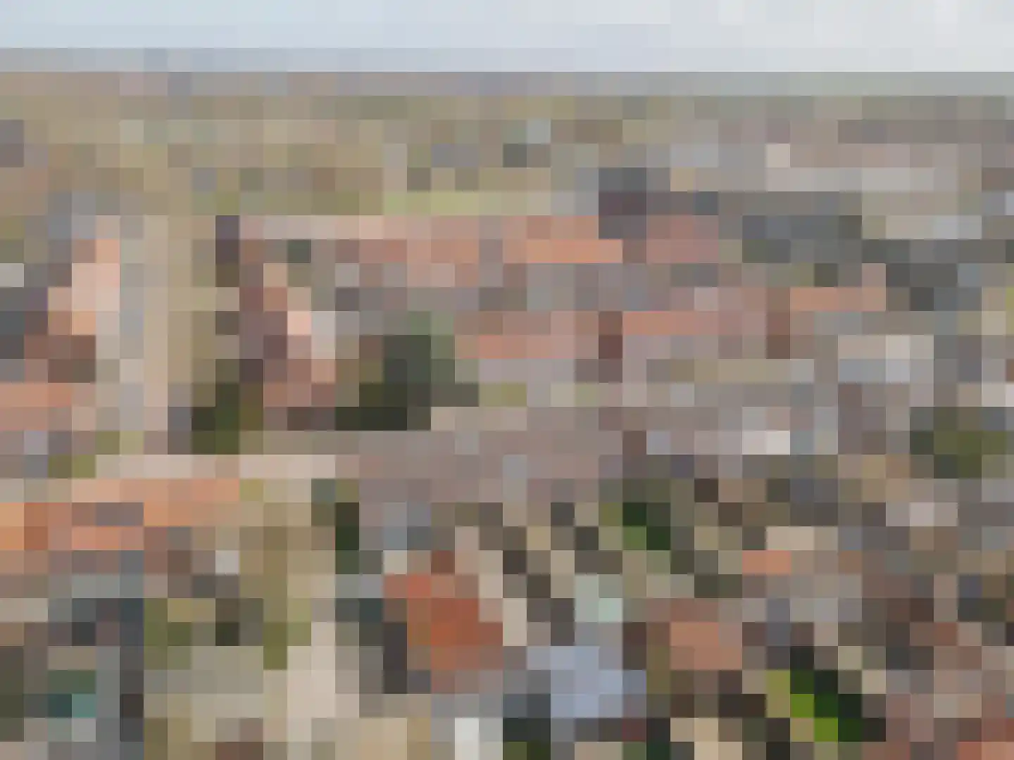 Graaf Janstraat 30 Geertruidenberg thumbnail 49