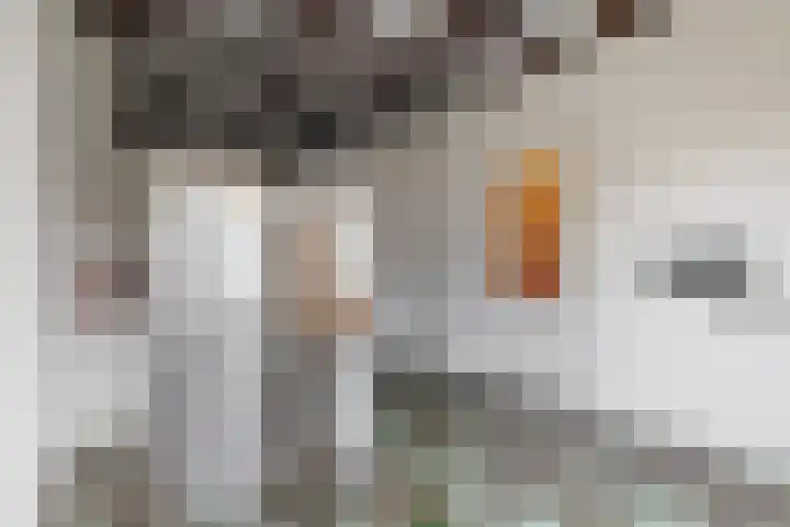 Graaf Janstraat 41 Beverwijk thumbnail 7