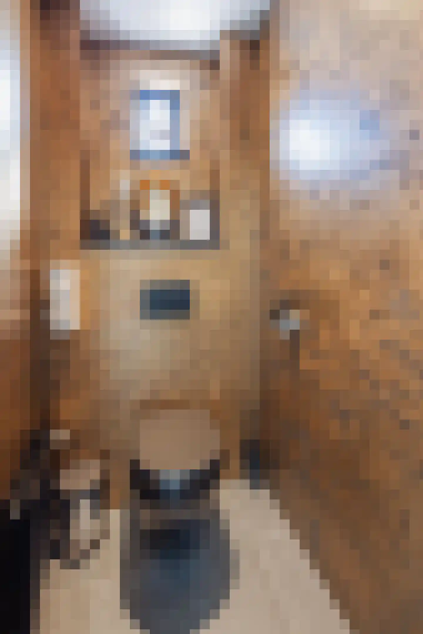 Graaf Janstraat 42 Geertruidenberg thumbnail 13