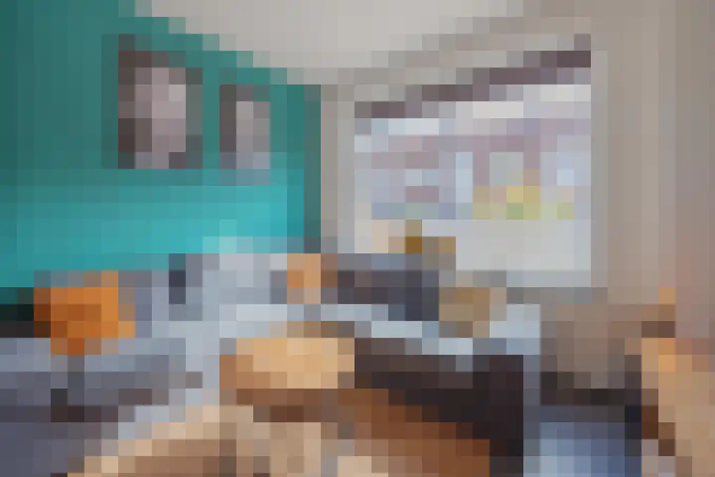 Graaf Janstraat 42 Geertruidenberg thumbnail 17