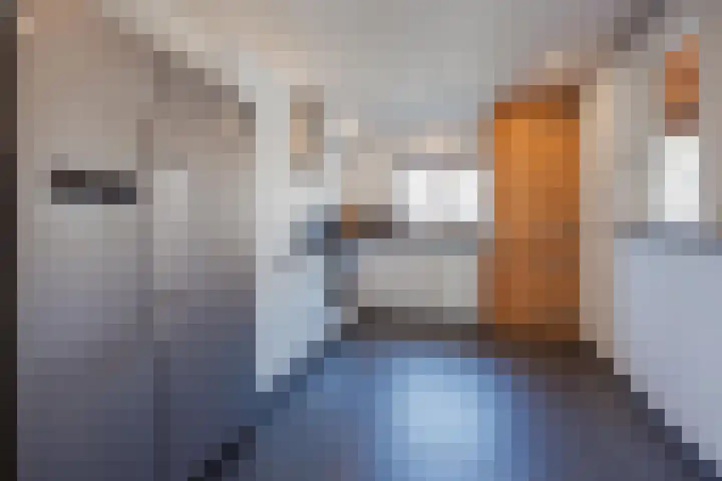 Graaf Janstraat 42 Geertruidenberg thumbnail 20