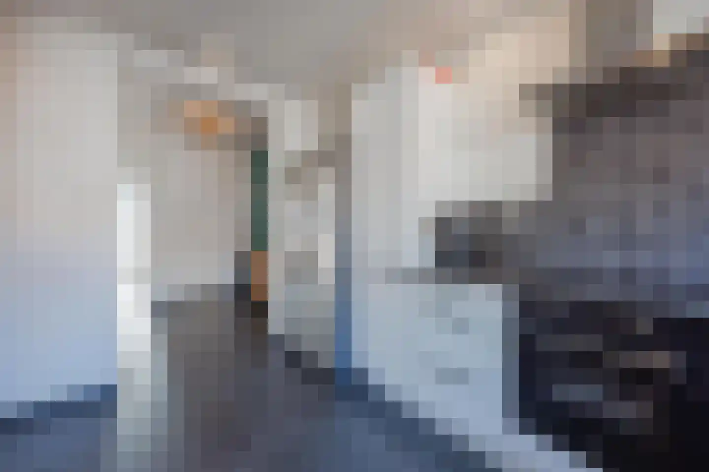 Graaf Janstraat 42 Geertruidenberg thumbnail 22