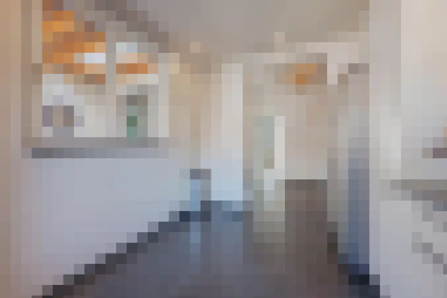 Graaf Janstraat 42 Geertruidenberg thumbnail 24