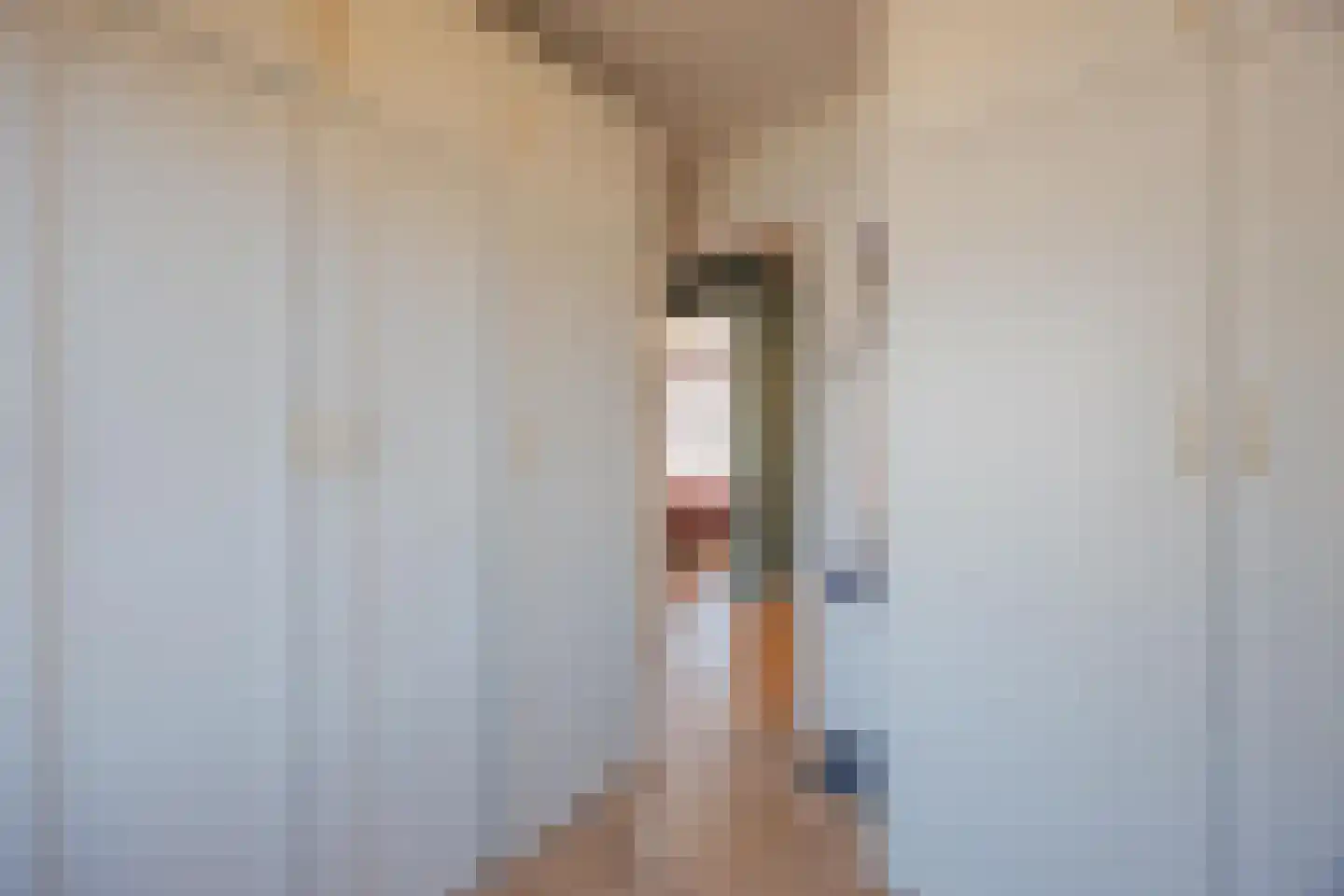 Graaf Janstraat 42 Geertruidenberg thumbnail 30