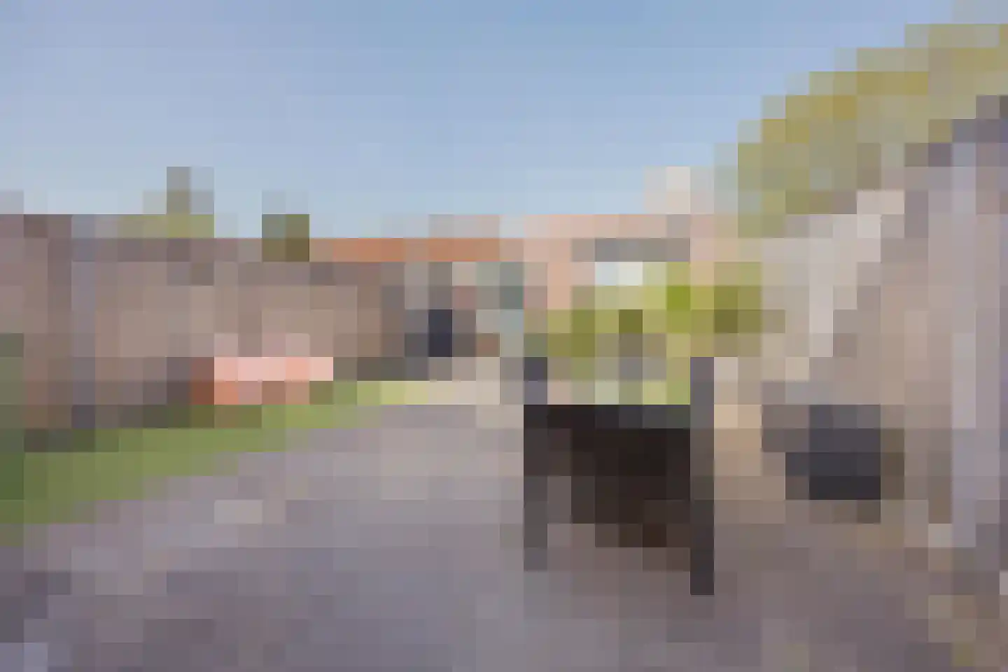 Graaf Janstraat 42 Geertruidenberg thumbnail 39