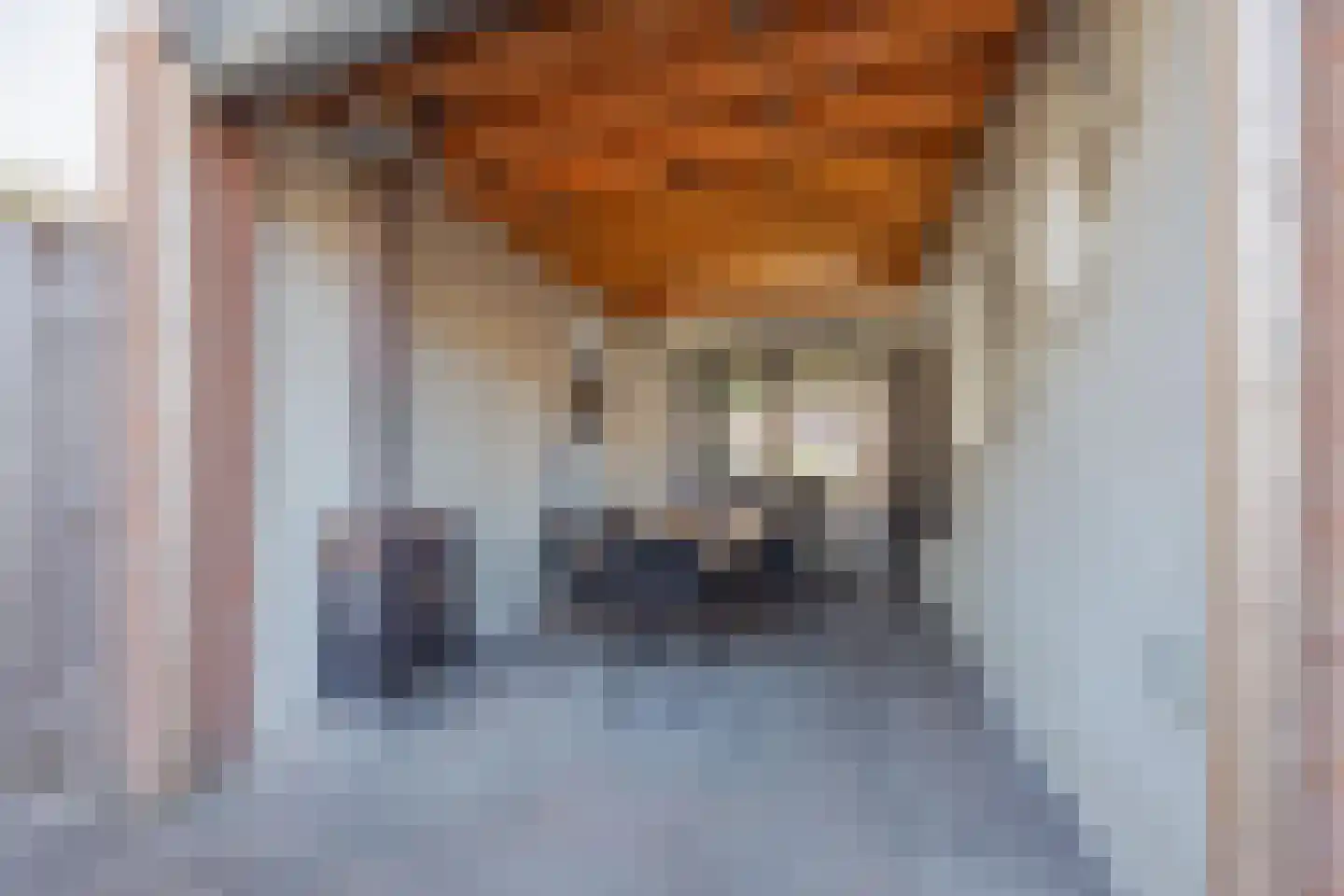 Graaf Janstraat 42 Geertruidenberg thumbnail 41