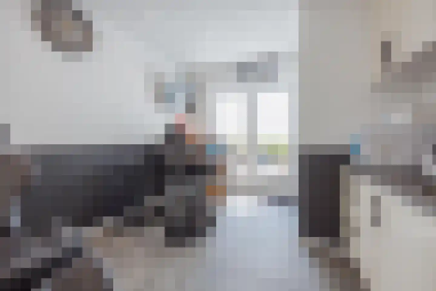 Graaf Janstraat 42 Geertruidenberg thumbnail 48