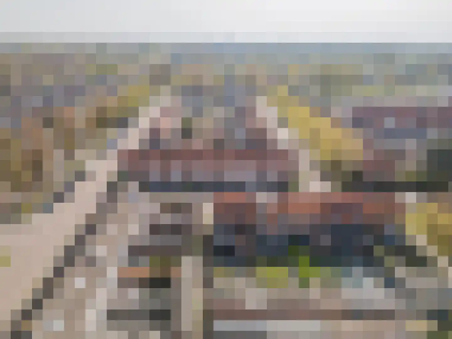 Graaf Janstraat 42 Geertruidenberg thumbnail 51