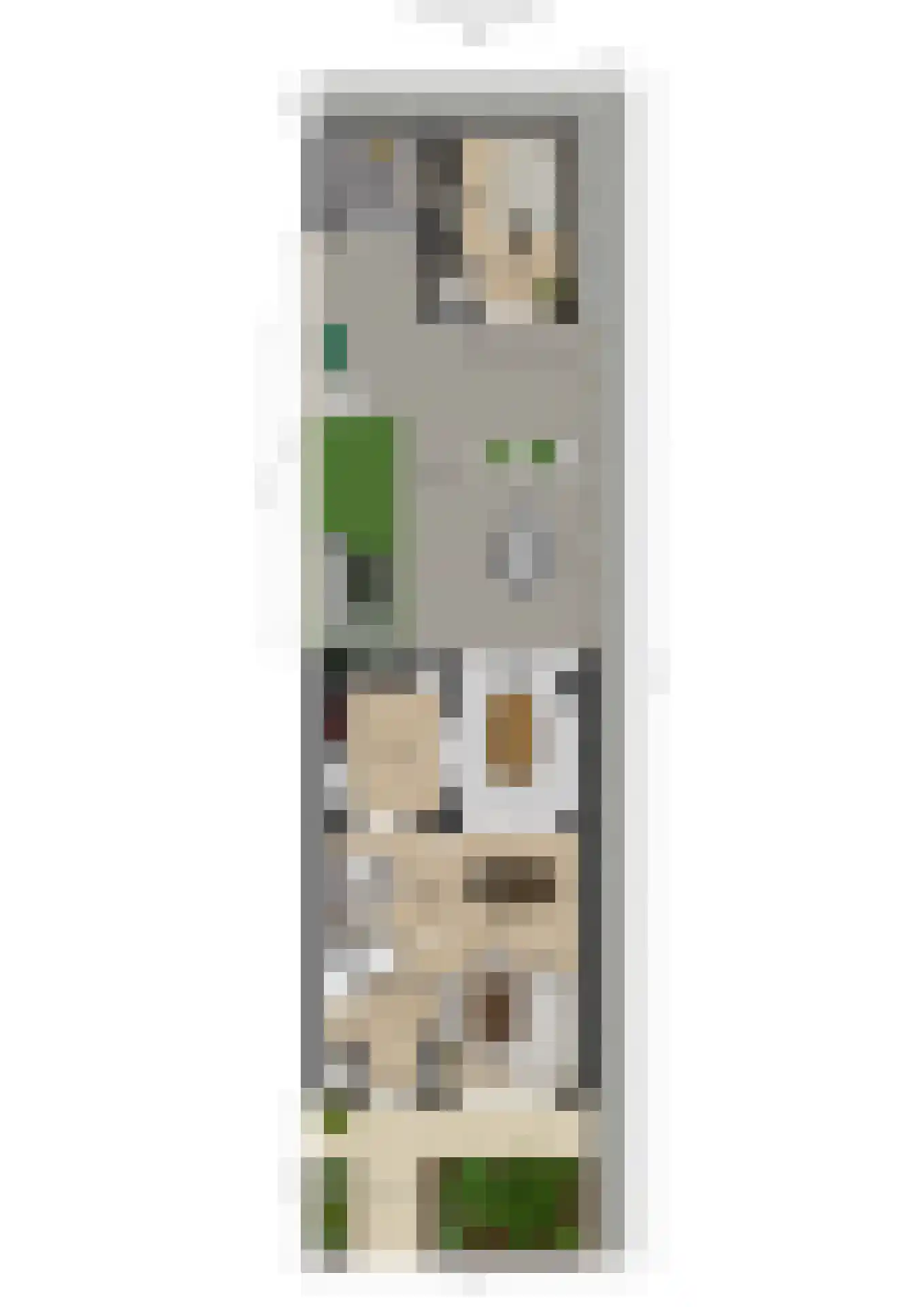 Graaf Janstraat 42 Geertruidenberg thumbnail 60