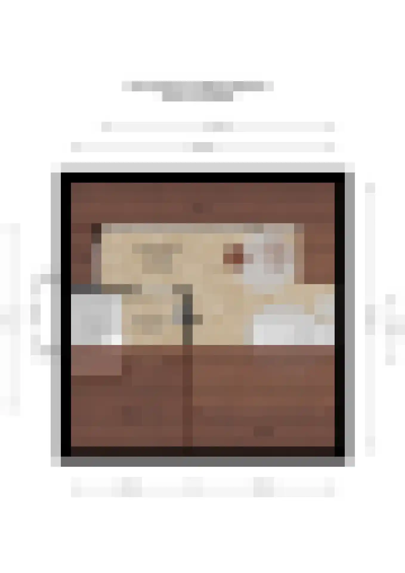 Graaf Janstraat 42 Geertruidenberg thumbnail 62