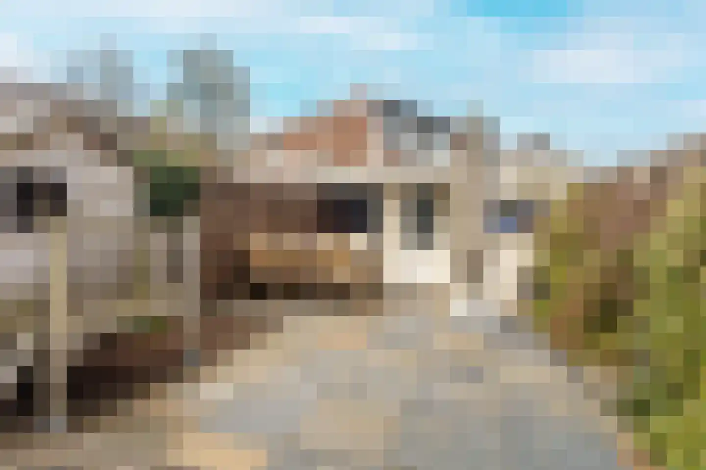 Graaf Janstraat 48 Beverwijk thumbnail 20