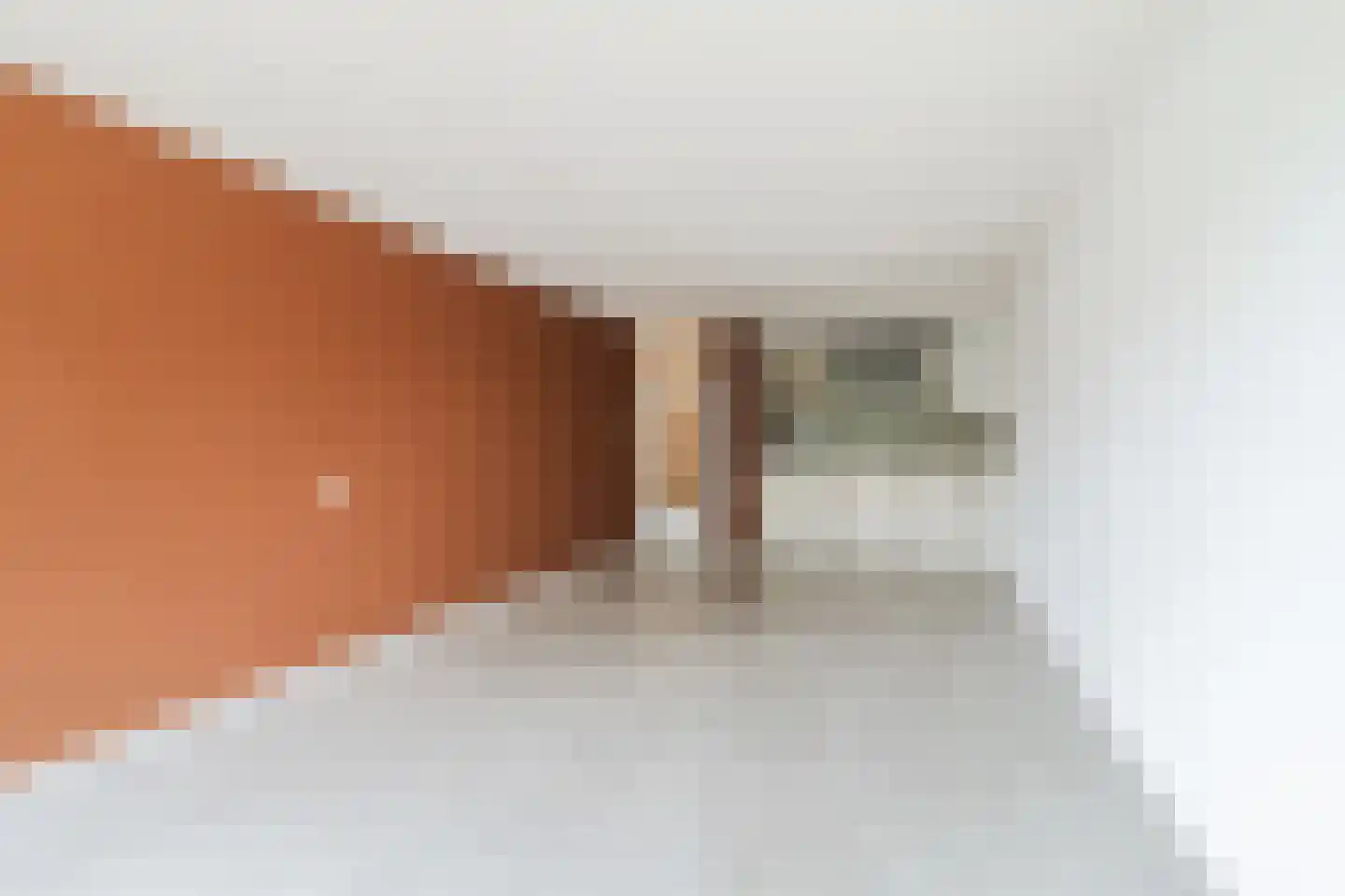 Graaf Janstraat 54 Zoetermeer thumbnail 14