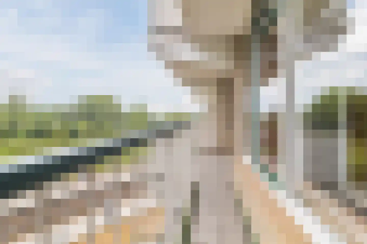 Graaf Janstraat 54 Zoetermeer thumbnail 29