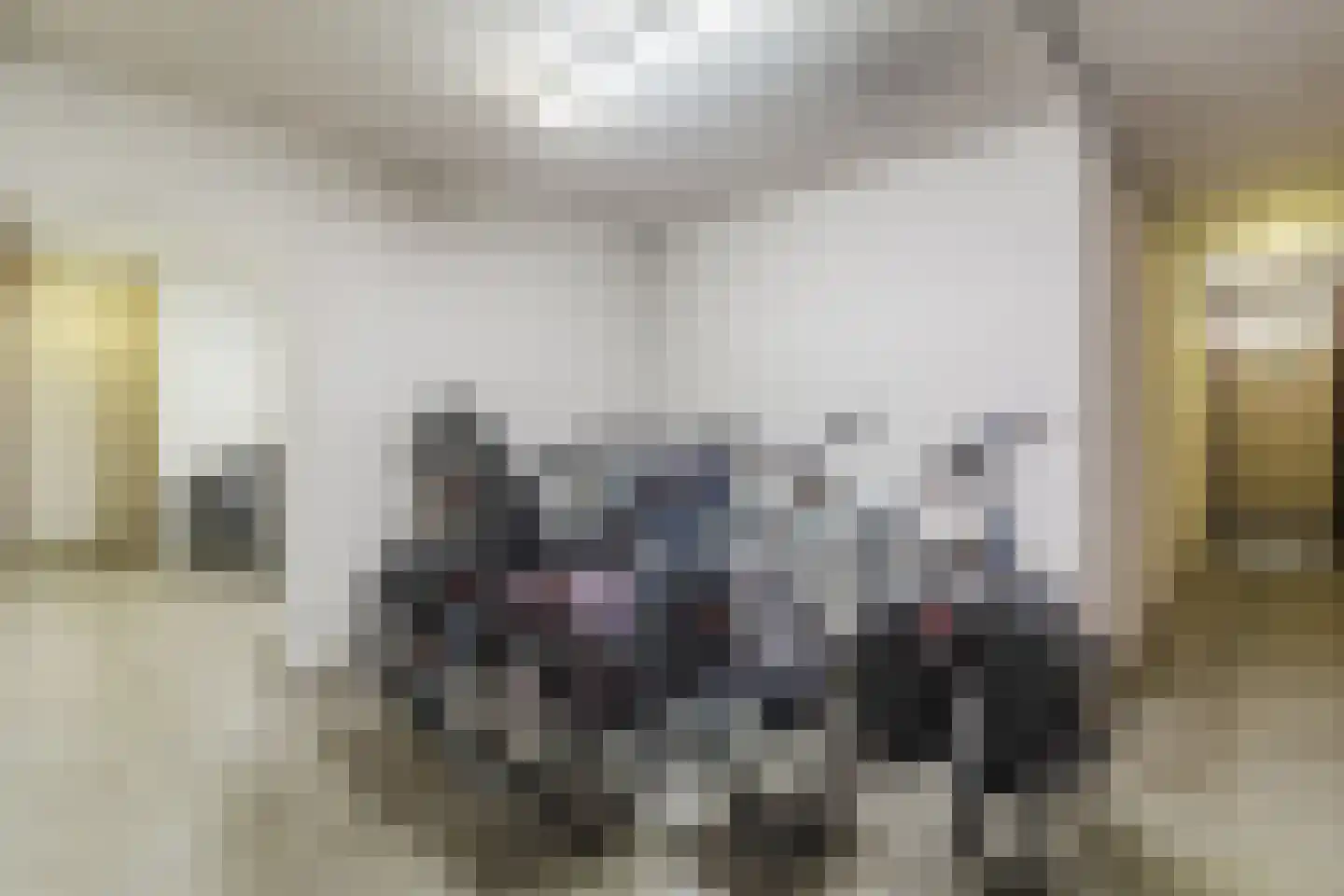 Graaf Janstraat 54 Zoetermeer thumbnail 32