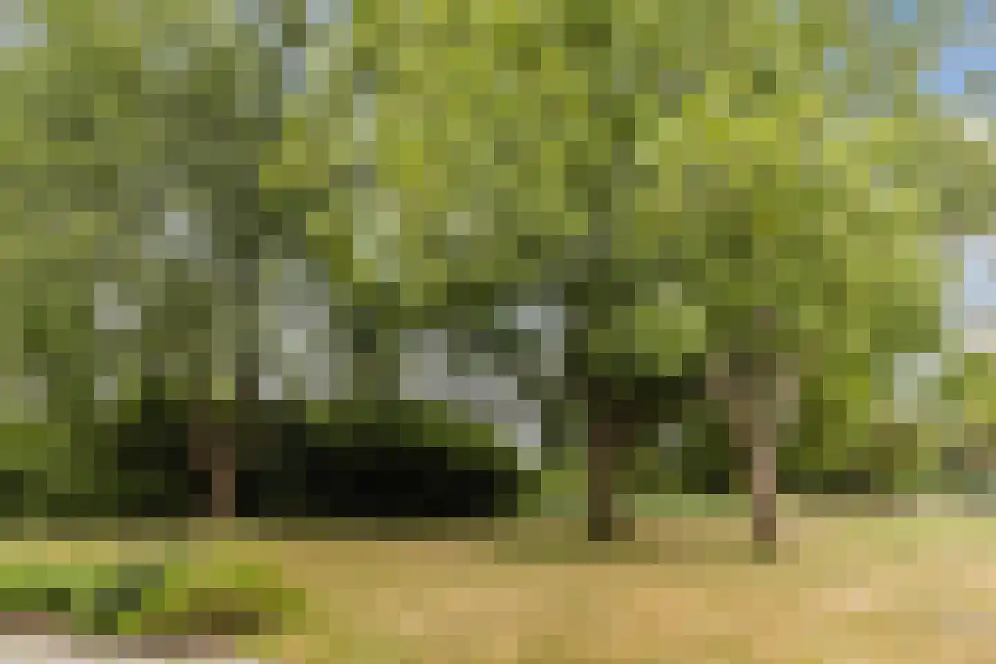 Graaf Janstraat 54 Zoetermeer thumbnail 38