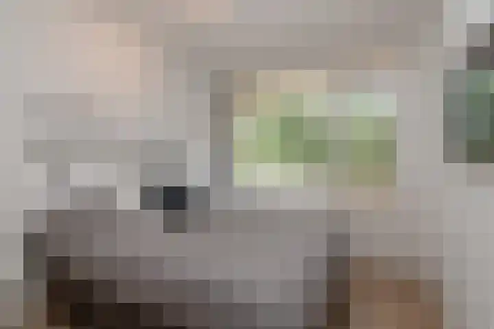 Graaf Janstraat 63 Zoetermeer thumbnail 14