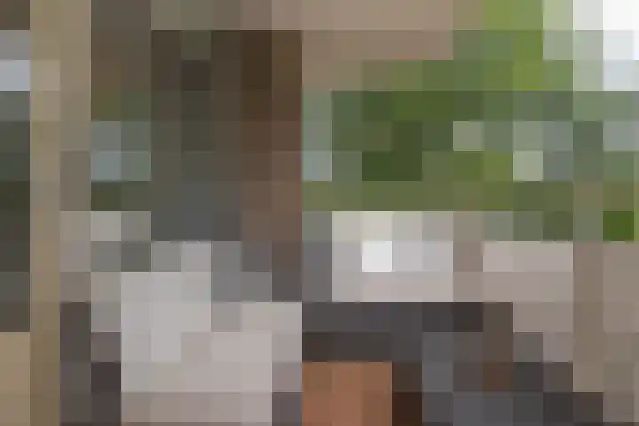 Graaf Janstraat 63 Zoetermeer thumbnail 17