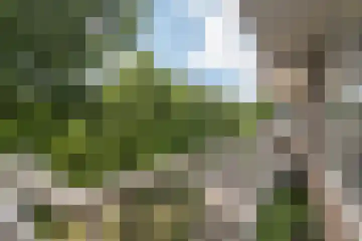 Graaf Janstraat 63 Zoetermeer thumbnail 18