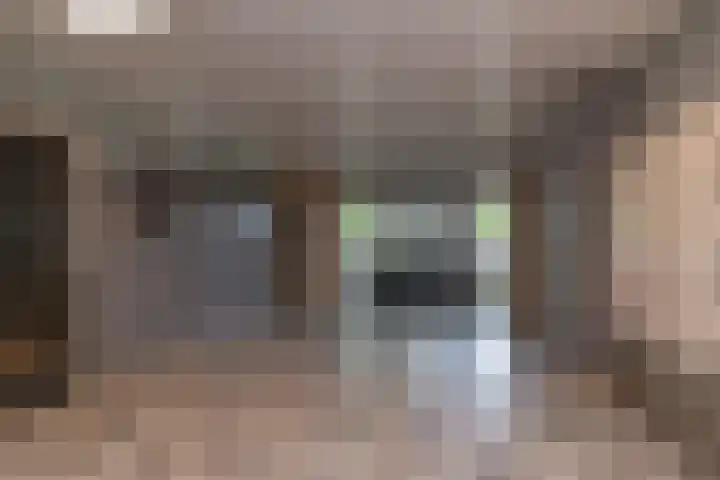 Graaf Janstraat 63 Zoetermeer thumbnail 19