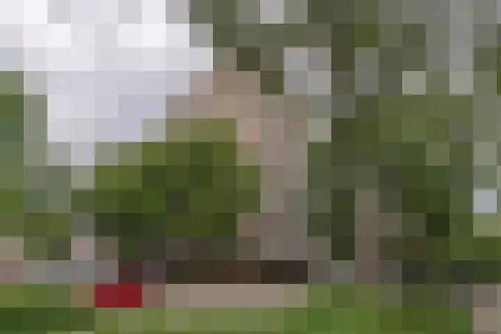 Graaf Janstraat 63 Zoetermeer thumbnail 20