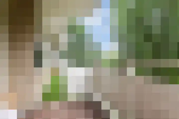 Graaf Janstraat 65 Zoetermeer thumbnail 22