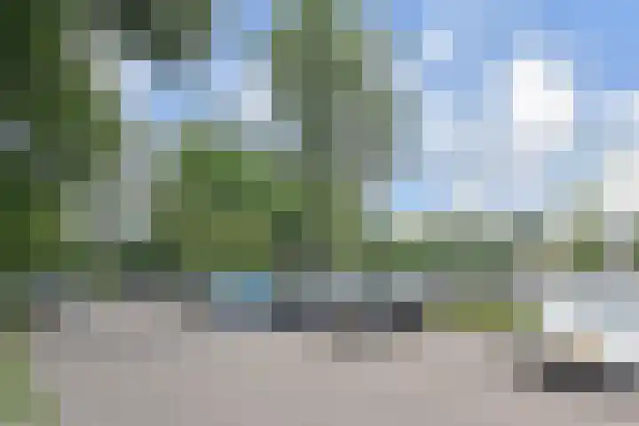 Graaf Janstraat 65 Zoetermeer thumbnail 31