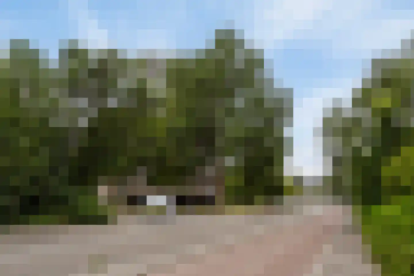 Graaf Janstraat 67 Zoetermeer thumbnail 19