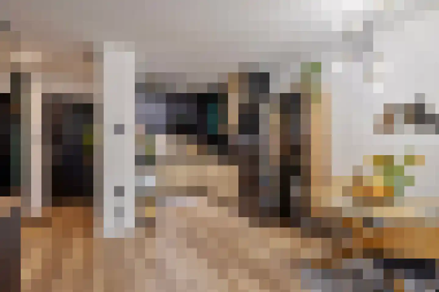 Graaf Janstraat 67 Zoetermeer thumbnail 7