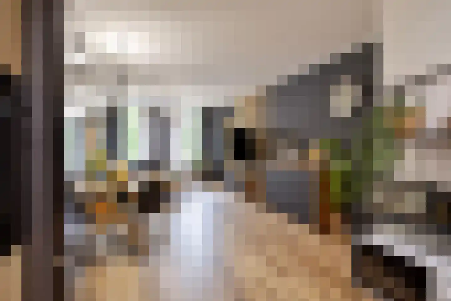 Graaf Janstraat 67 Zoetermeer thumbnail 8
