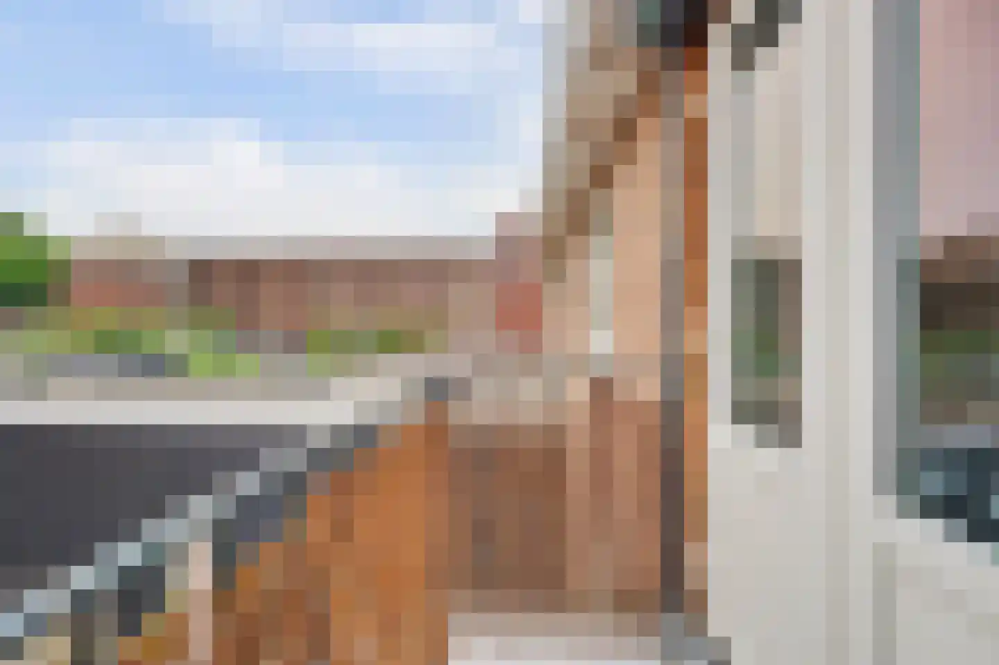 Graaf Janstraat 71 Ridderkerk thumbnail 27
