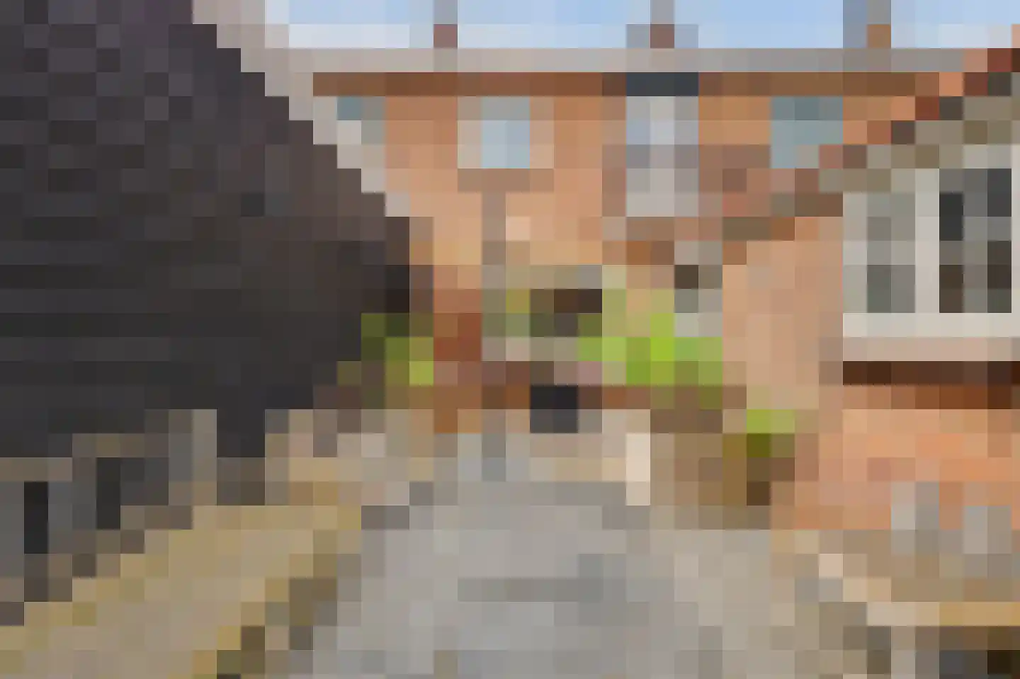 Graaf Janstraat 71 Ridderkerk thumbnail 44