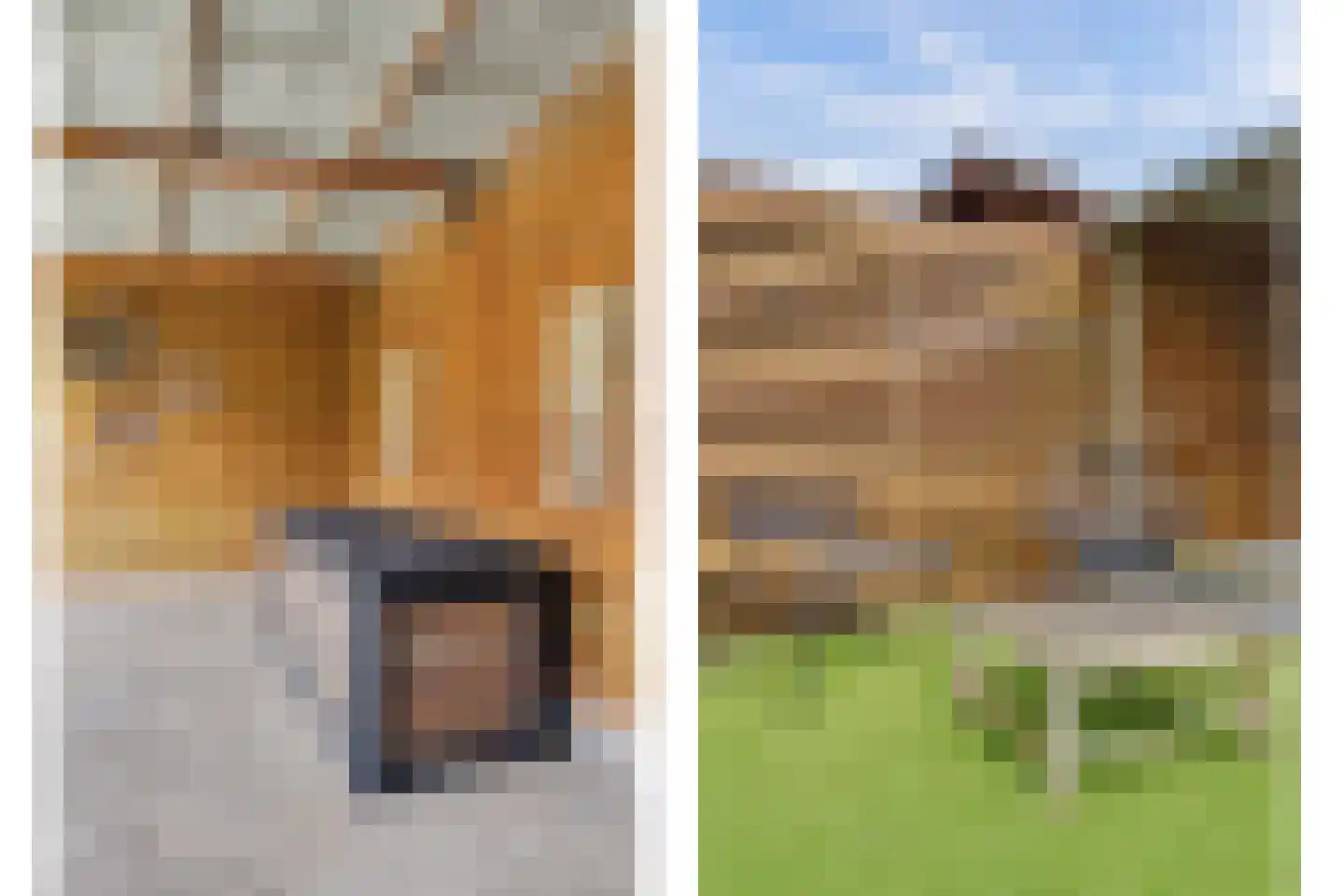 Graaf Janstraat 71 Ridderkerk thumbnail 45