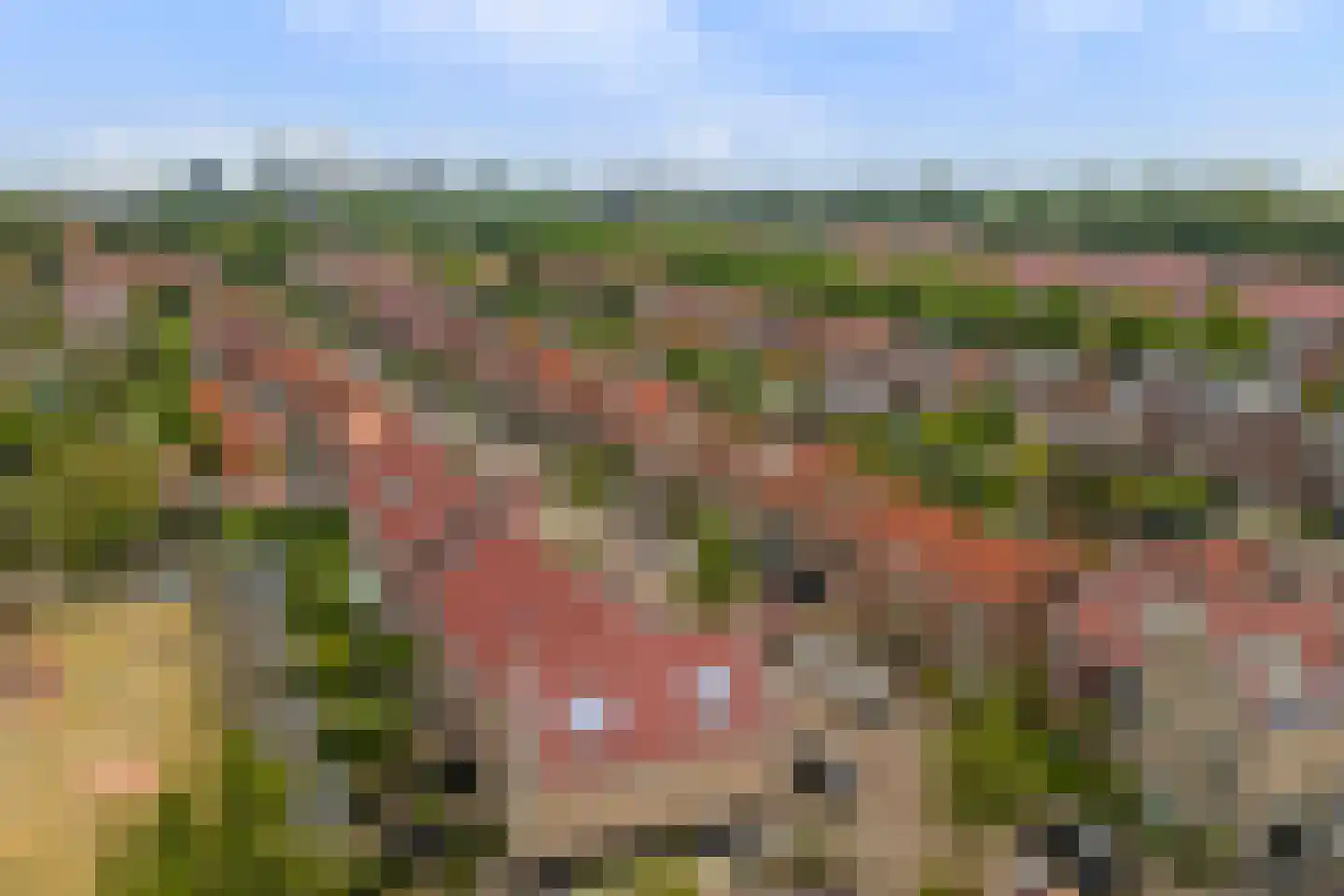 Graaf Janstraat 71 Ridderkerk thumbnail 49