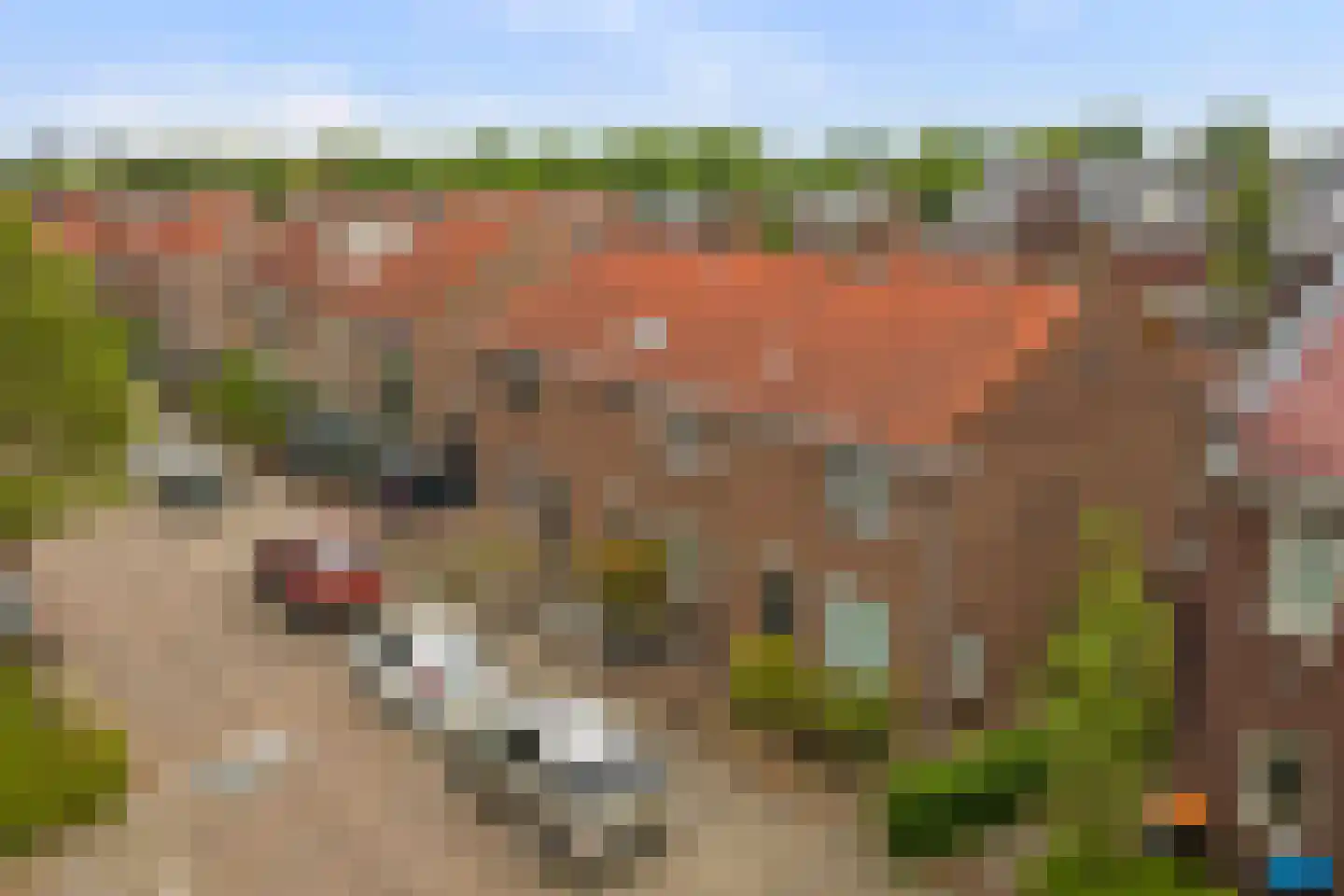 Graaf Janstraat 71 Ridderkerk thumbnail 50